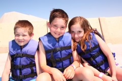 Swimming with dolphins